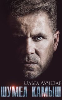 обложка аудиокниги Щит любви 4. Шумел Камыш