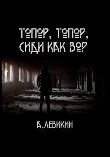 обложка аудиокниги Топор, топор, сиди как вор
