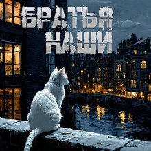 обложка аудиокниги Братья наши