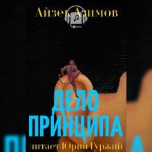 обложка аудиокниги Дело принципа