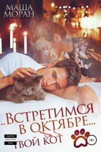 обложка аудиокниги Встретимся в октябре. Твой кот