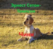 обложка аудиокниги Чинк