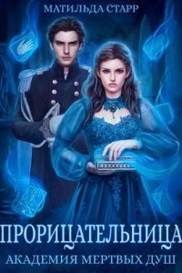 обложка аудиокниги Заморыш 3. Прорицательница. Академия мертвых душ