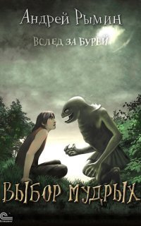 обложка аудиокниги Вслед за Бурей 3. Выбор мудрых