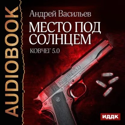 обложка аудиокниги Группа Свата 1. Место под солнцем