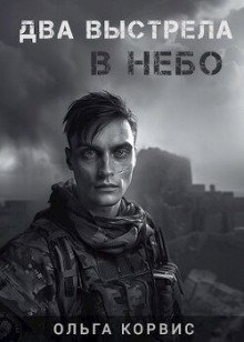 обложка аудиокниги Два выстрела в небо