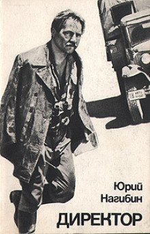 обложка аудиокниги Директор