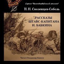 обложка аудиокниги Рассказы штабс-капитана Бабкина