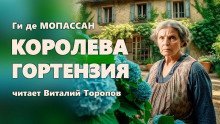 обложка аудиокниги Королева Гортензия
