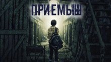 обложка аудиокниги Приёмыш