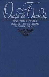 обложка аудиокниги Побочная семья