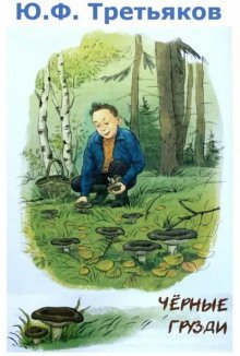 обложка аудиокниги Чёрные грузди