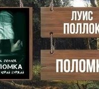 обложка аудиокниги Поломка