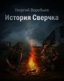 обложка аудиокниги S.T.A.L.K.E.R. История Сверчка
