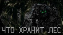 обложка аудиокниги Что Хранит лес или Аука