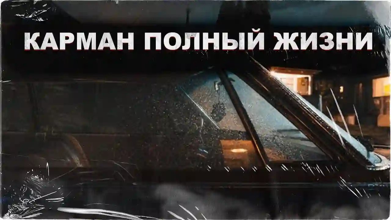 обложка аудиокниги Карман полный жизни