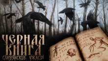 обложка аудиокниги Чёрная книга Дикого леса