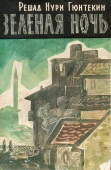 обложка аудиокниги Зелёная ночь