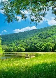 обложка аудиокниги Биомасса