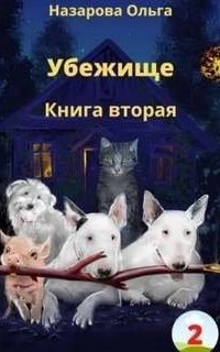обложка аудиокниги Убежище. Книга вторая