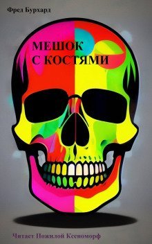 обложка аудиокниги Мешок с костями