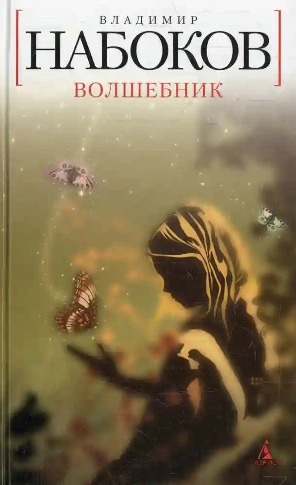 обложка аудиокниги Волшебник