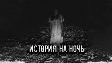 обложка аудиокниги Правдивая история моей семьи