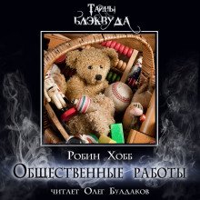 обложка аудиокниги Общественные работы