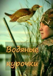 обложка аудиокниги Водяные курочки