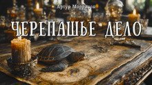 обложка аудиокниги Черепашье дело