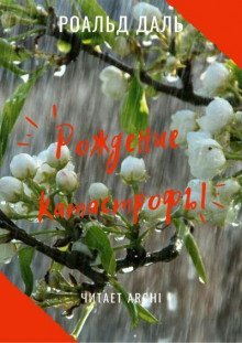 обложка аудиокниги Рождение катастрофы