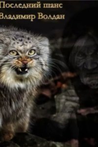 обложка аудиокниги Последний шанс