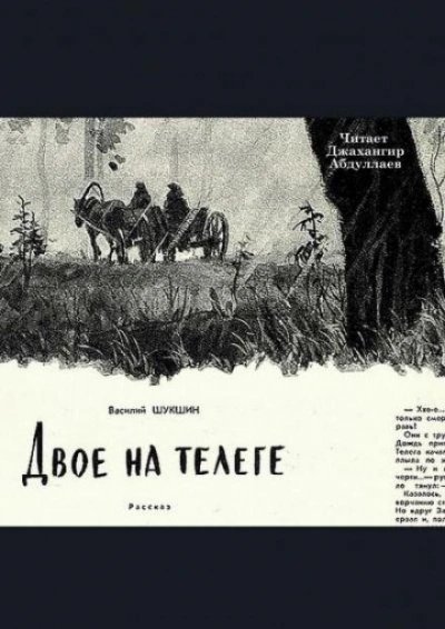 обложка аудиокниги Двое на телеге