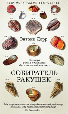 обложка аудиокниги Собиратель ракушек