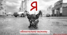 обложка аудиокниги Я обязательно Выживу!