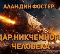 обложка аудиокниги Дар никчёмного человека
