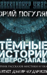 обложка аудиокниги Тёмные истории Северо