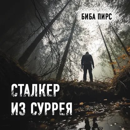 обложка аудиокниги Детектив Роб Миллер 1. Сталкер из Суррея