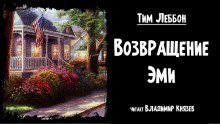 обложка аудиокниги Возвращение Эми