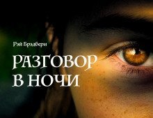 обложка аудиокниги Разговор в ночи