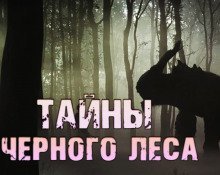 обложка аудиокниги Тайны чёрного леса