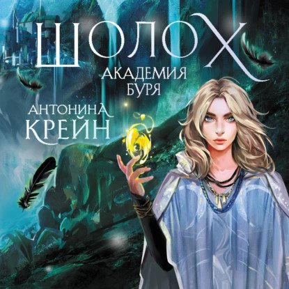 обложка аудиокниги Шолох 3. Академия Буря