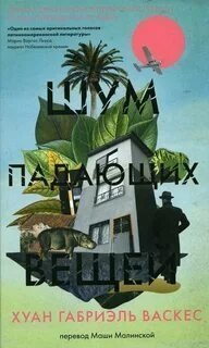 обложка аудиокниги Шум падающих вещей