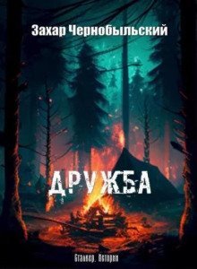 обложка аудиокниги Дружба