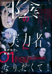 обложка аудиокниги Восхождение в тени! Том 1