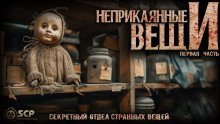 обложка аудиокниги Неприкаянные вещи