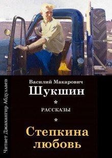 обложка аудиокниги Стёпкина любовь