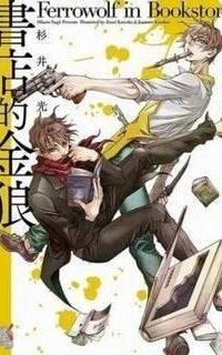 обложка аудиокниги Волк в книжной лавке