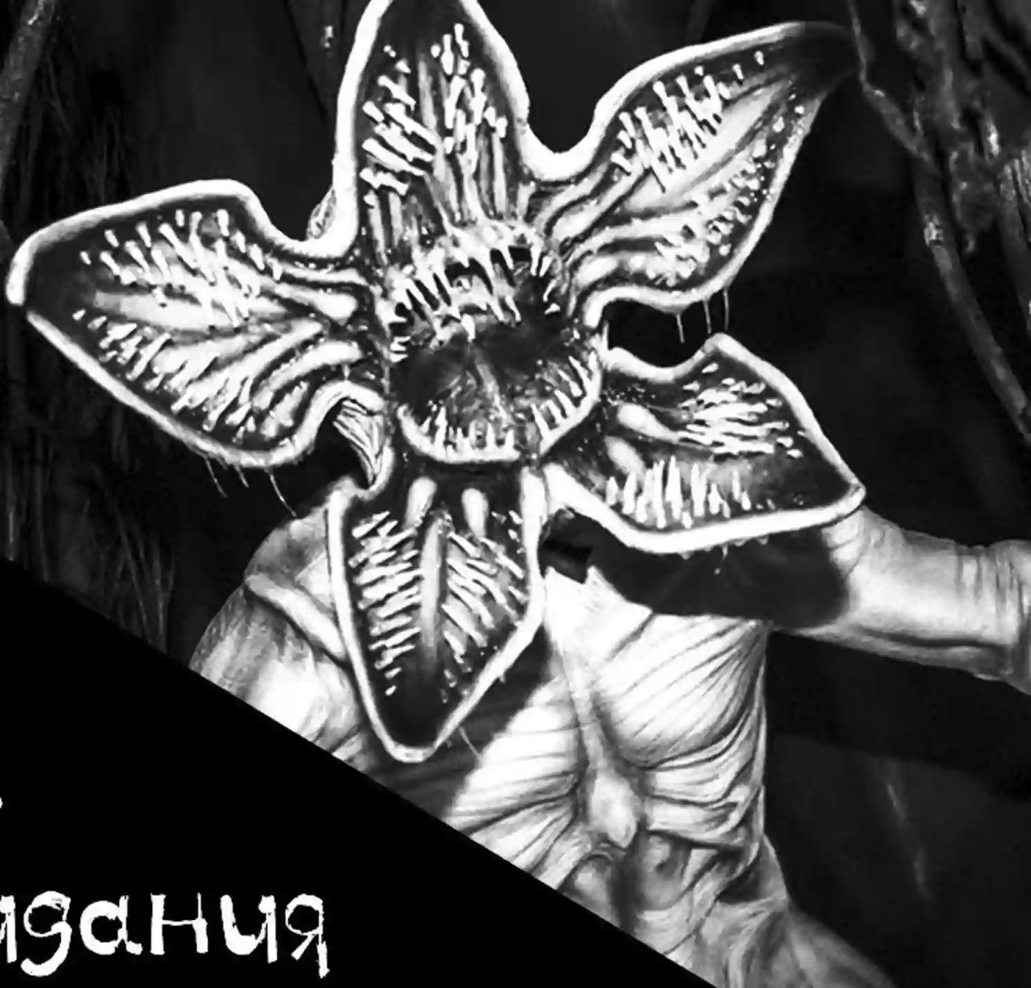 обложка аудиокниги Фаза кошмара