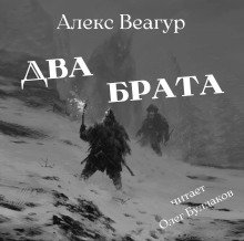 обложка аудиокниги Два брата